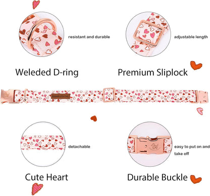 Elegant Little Tail Valentine's Day Pink Heart Cute Girl or Boy Puppy Gift Adjustable Collar for Medium Dogs