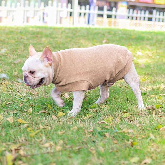 Small Dogs Fleece Dog Sweatshirt - Cold Weather Hoodies Spring Soft Vest Thickening Warm Cat Sweater Puppy Clothes Sweater Winter Sweatshirt Pet Pajamas for Small Dog Cat Puppy