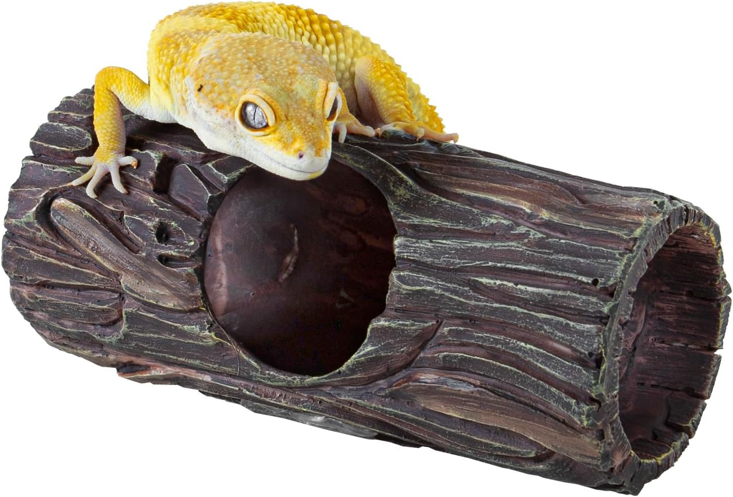 REPTIZOO Magnetic Reptile Hide Cave Resin Hollow Tree Trunk Hideout, Gecko Hide with Strong Magnetic Climbing Toy Reptile Tank Accessories for Crested Gecko,Lizard, Terrarium Decor