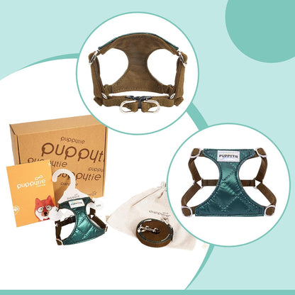 Puppytie No Pull xs Dog Harness with Multifunction Dog Leash,Soft Adjustable No Choke Escape Proof Pet Harness Vest,Glossy Dark Green,XS