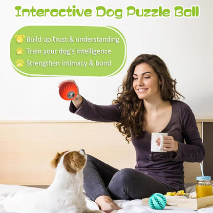 Interactive Cat Ball Toys- 2025 New Bouncing Slow Feeder, Durable Motion Activated Rolling Ball Toys for Dogs Cat to Keep Them Engaged Busy