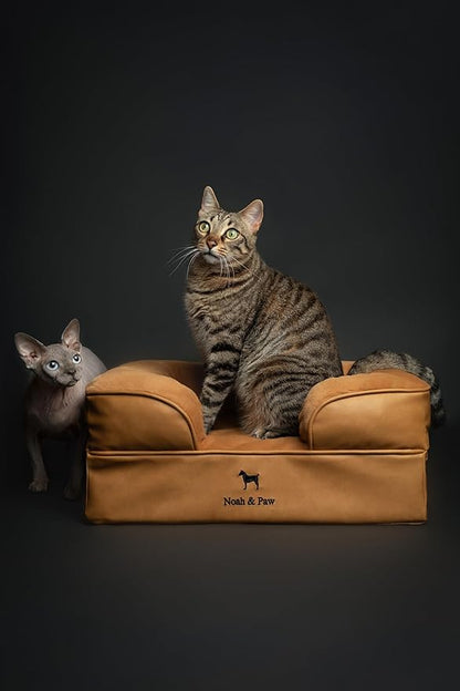 NOAH & PAW Small Dog Bed, 20x15x8 Inch, Cat Bed for Indoor Cats, Orthopedic Eggshell Memory Foam Infused with Cooling Gel, Waterproof Inner Cover Machine Washable (Faux Leather Collection)