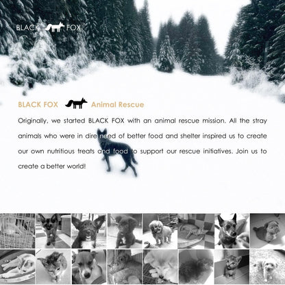 BLACK FOX Freeze-Dried Chicken Liver Training Treats for Dogs and Cats | 270 Treats, 4oz Single Ingredient, Raw, Healthy, All Natural, Human Grade, Recyclable Packaging