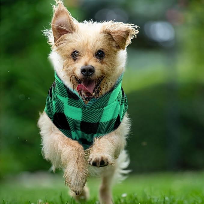 KAMA BRIDAL Spring Autumn Winter Coat Pullover Fleece Vest for Cats Small and Medium Dogs Thin Sweater Green & Black Plaid (Green, L)