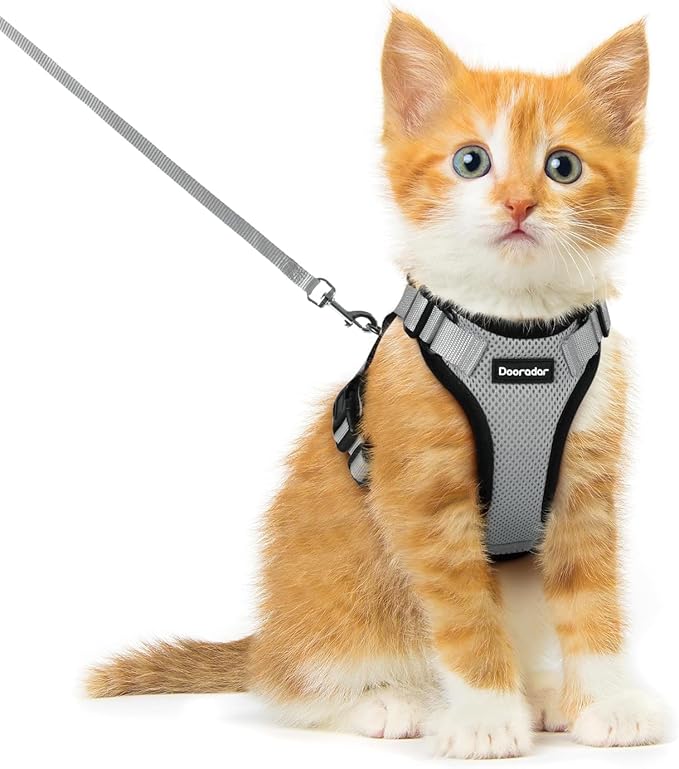 Dooradar Cat Harness and Leash Set, Escape Proof Safe Adjustable Kitten Vest Harnesses for Walking, Easy Control Soft Breathable Mesh Jacket with Reflective Strips for Cats, Grey, XXS