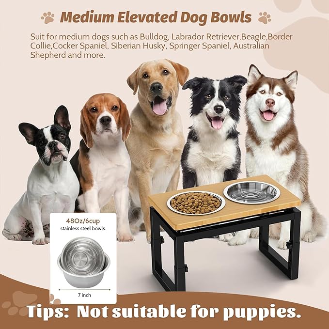 Dog Bowls Elevated, 4 Height & Angle Adjustable Raised Dog Bowl Stand, Elevated Dogs Bowl Stand for Medium Sized Pet, Sturdy Bamboo Dogs Feeding Station with 2X 48oz (6cup) Stainless Steel Dishes