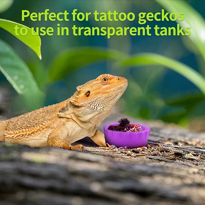 14 PCS Crested Gecko Food Dish, Reusable Small Reptile Feeding Cups, Gecko Food & Water Bowl 7 Colors