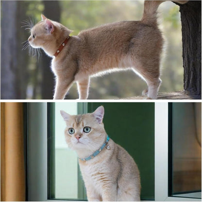 Spiked Cat Collar with Bells, Breakaway Genuine Leather Protective Collar for Kitty, Studs Spikes Punk Style, Heart Pattern, Adjustable for Girl Boy Kittens Small Bunny Rabbit, 8"-9.5" Blue