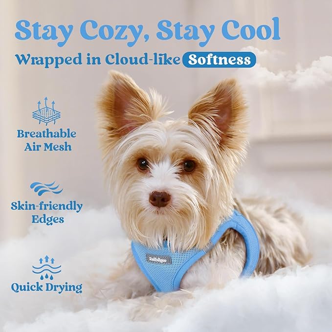 rabbitgoo Small Dog Harness, Step-in Soft Mesh Puppy Vest with Safety Buckle, Breathable Reflective Pet Harness for Extra Small Dogs, Blue XXS