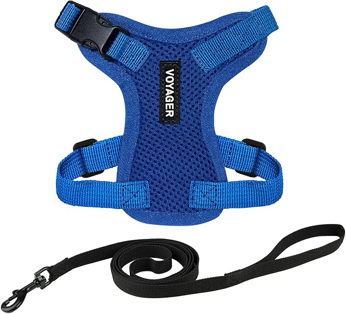 Voyager Step-in Lock Adjustable Cat Harness w. Cat Leash Combo Set with Neoprene Handle 5ft - Supports Small, Medium and Large Breed Cats by Best Pet Supplies - Royal Blue, S