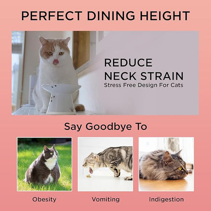 Necoichi Raised Cat Food Bowl – Ceramic Elevated Cat Bowl for Whisker & Neck Fatigue, Dishwasher Microwave Safe – Non-Slip & Anti Vomiting Ergonomic Design (Cats, Extra Wide)