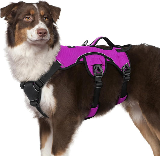 rabbitgoo Escape Proof Dog Harness, Soft Padded Full Body Pet Harness, Reflective Adjustable No Pull Vest with Lift Handle and Leash Clip for Large Dogs Walking Hiking Training, M, Purple