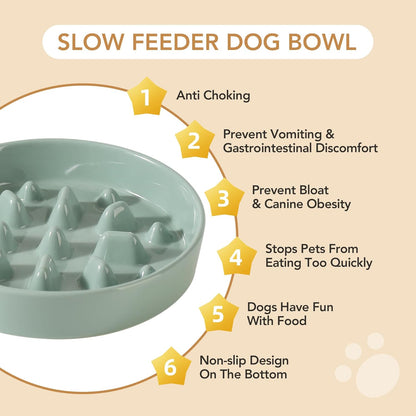 Ceramic 1.6 Cup Dog Bowl Slow Feeder, 8.2 inch Slow Pet Food Dish for Medium and Large Dog, Stop Bloat, Preventing Choking(Single Bowl, Light Green)