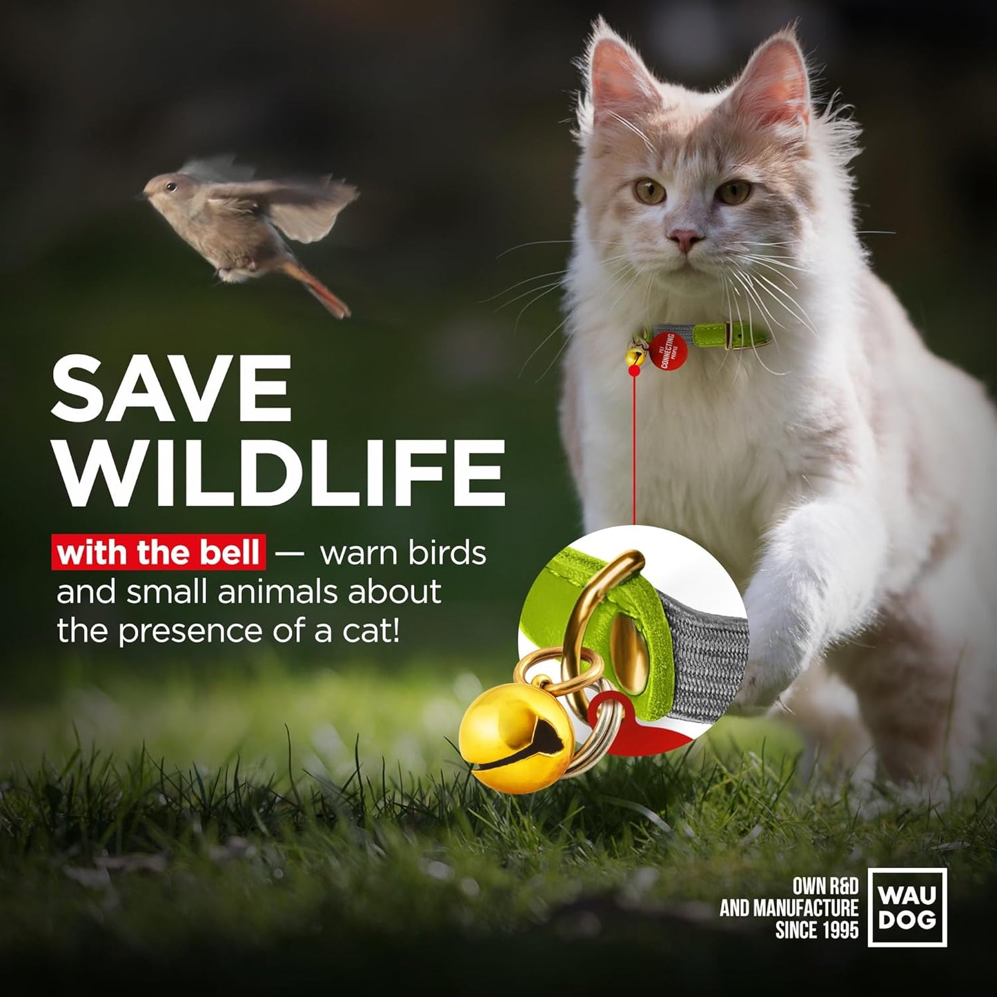 WAUDOG Ultra Soft Rolled Leather Cat Collar with Removable Bell, Safety Elastic Strap and QR ID Tag - Soft Padded for Small, Medium, and Large Cats - Round Kitten Collar for Male and Female Cats