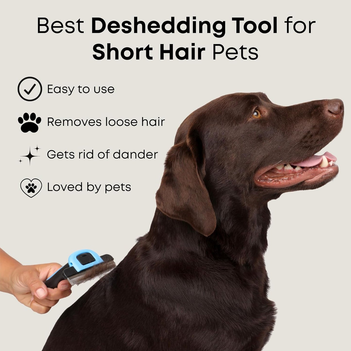 Freshly Bailey Deshedding Brush for Short Haired Dogs & Cats - Cat and Dog Brush for Shedding Short Hair - Highly Effective Deshedder Grooming Comb