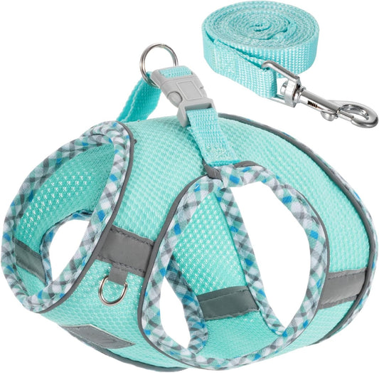 Dog Harness & Leash Set - No Pull Soft Breathable Small Dog Harness, Adjustable Reflective Step-in Vest for Puppy, Kitten, Cats
