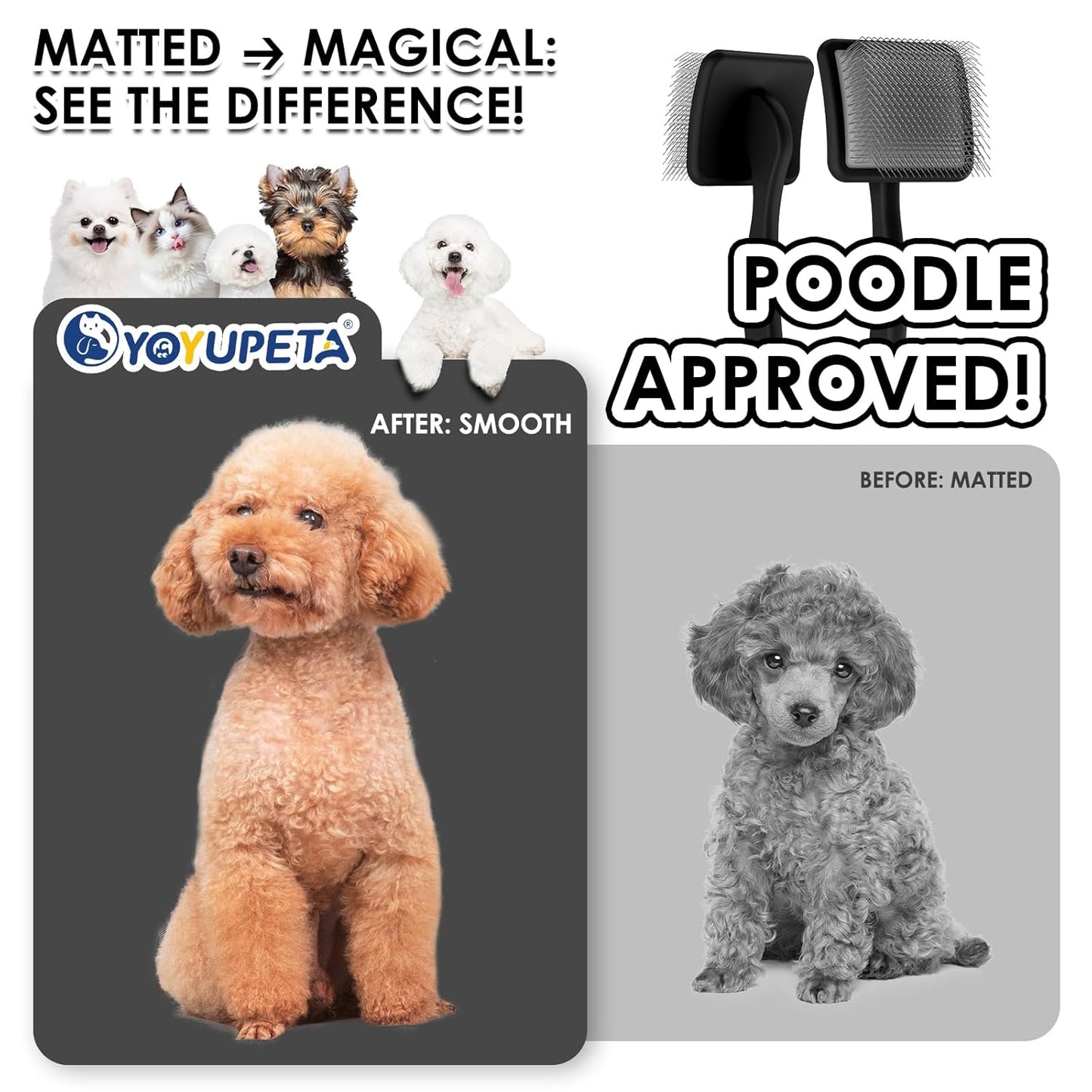 Large Dog Slicker Brush & Comb Set with Leather Sleeves - Long Pin Deshedding Brush for Golden Retrievers, Poodles, Doodles & Thick Coats, Wood Handle Pet Grooming Kit for Dogs, Cats. Black