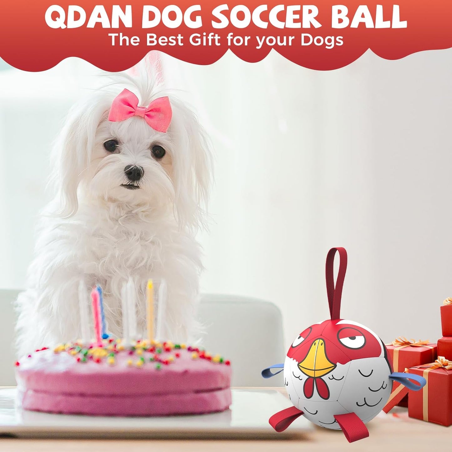 QDAN Soccer Ball Dog Toy - Extra Small Dog Balls, Beach & Pool, Chicken & Puppy Gifts, Herding (5 Inch)