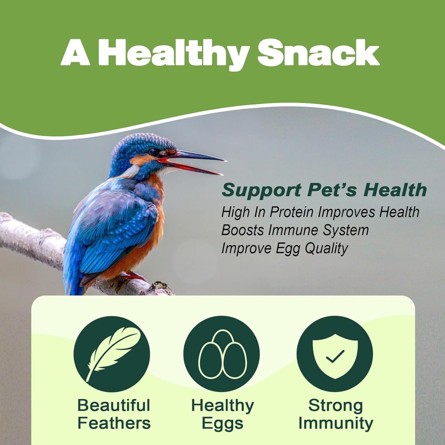 Dried Mealworms -11 LBS- 100% Natural Non GMO High Protein Mealworms - Bulk Mealworms for Wild Birds, Chicken Treats, Hamster Food, Gecko Food, Turtle Food, Lizard Food