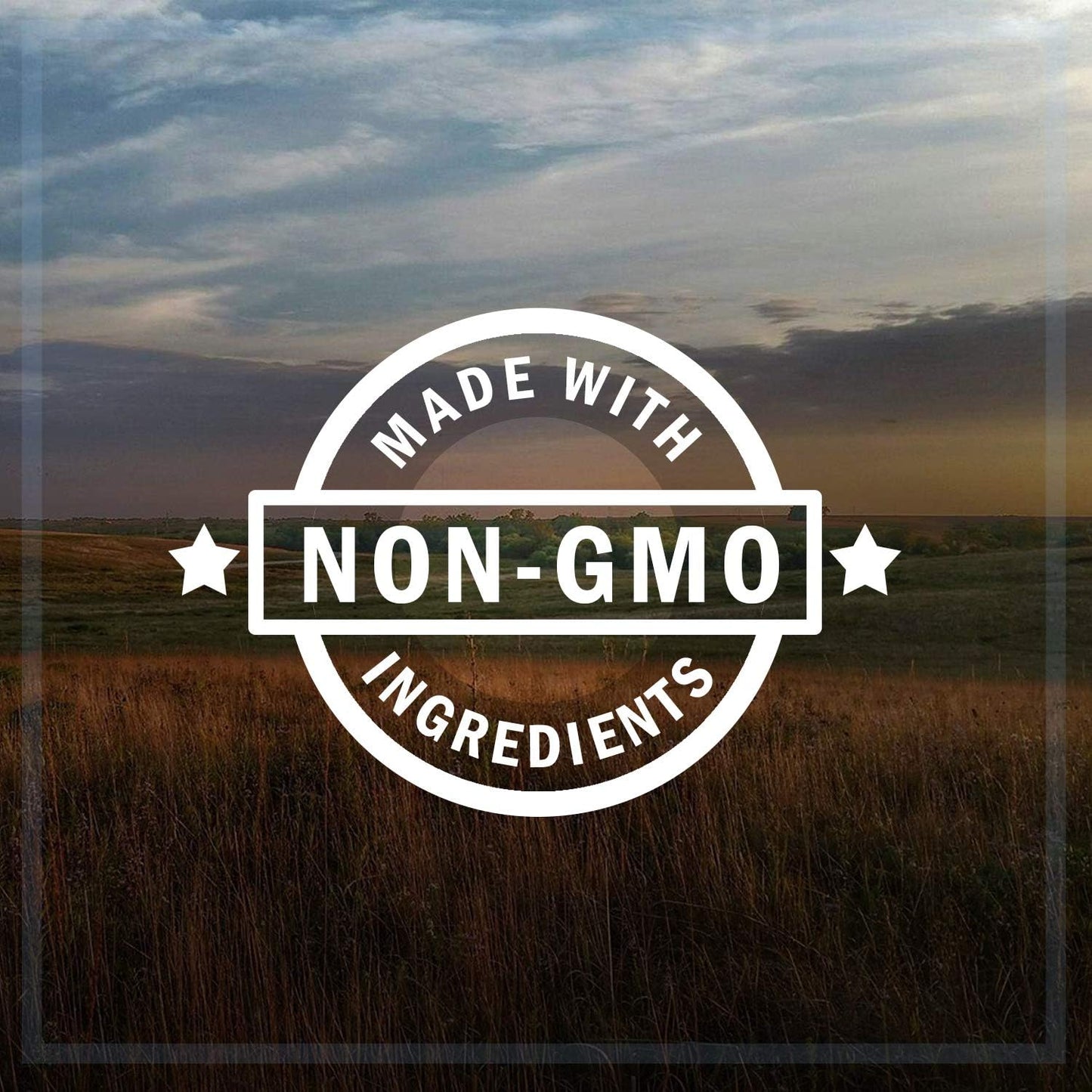 Co. 20-Pound Bag Nutra-Saff Safflower Seed Wild Bird Food Seed