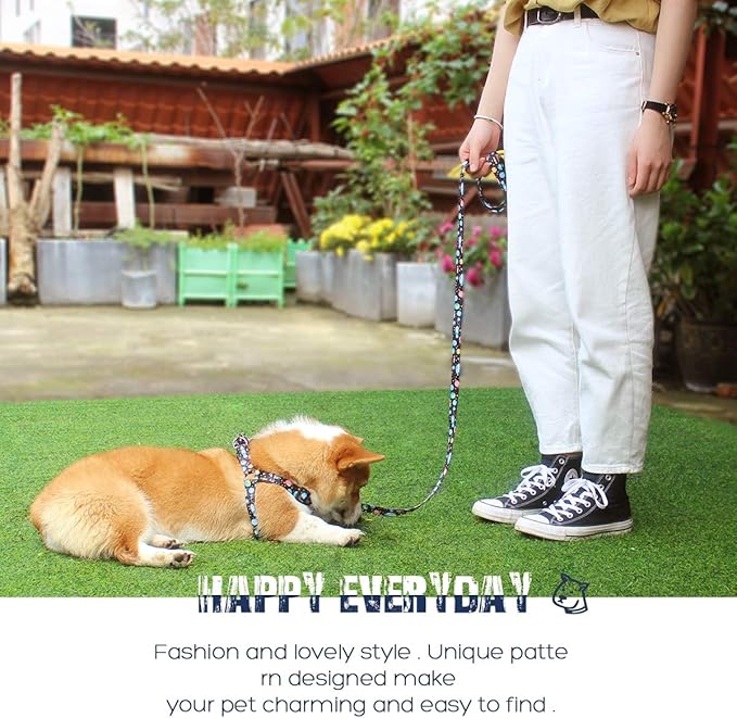 QQPETS Dog Harness Leash Set Adjustable Heavy Duty No Pull Halter Harnesses for Small Medium Large Breed Dogs Back Clip Anti-Twist Perfect for Walking (XS(12"-18" Chest Girth), Space)