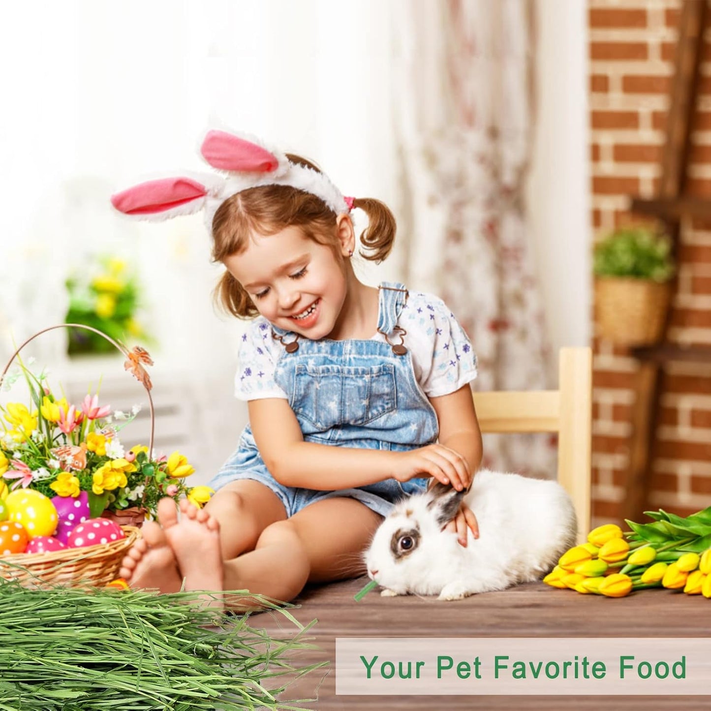 Timothy Hay 1.1LB - Dust Free Natural Green Fresh Food Hay for Rabbits Tortoise Guinea Pig Chinchilla