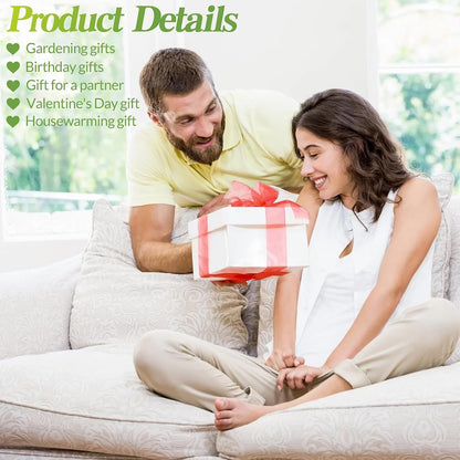 Plants Propagation Stations Plant Terrarium Kit for Bathroom Glass Planters for Indoor Plants Bathroom Decor Accessories - Relax Soak Unwind Breathe