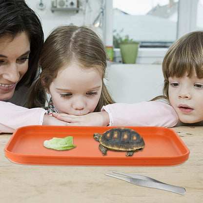 2 Pieces Reptile Food Water Dish, Reptile Feeding Bowl, Tortoise Feeding Dish, Plastic Pets Feeding Plate with 1Pcs Forcep, Crawl Pet Basking Platform for Turtle Lizard Bearded Dragon Gecko Snake