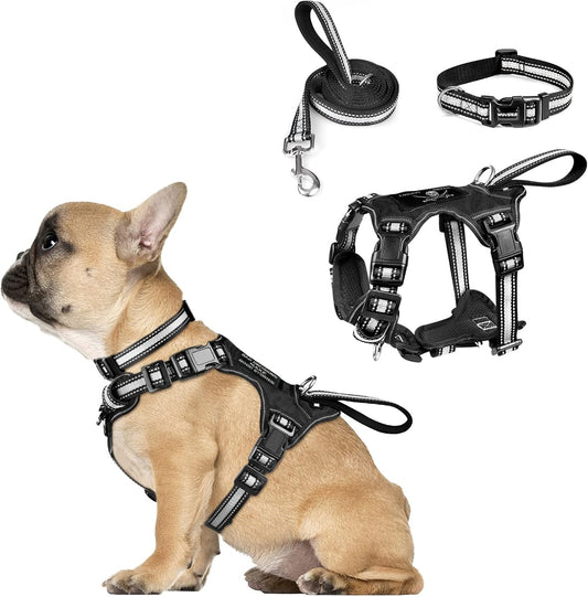 WINSEE Pet Harness Collar and Leash Set, All-in-one Reflective Dog Harness No Pull with Adjustable Buckles for Puppies, Small, Medium, Large, and Extra-Large Dogs (Small, Black)