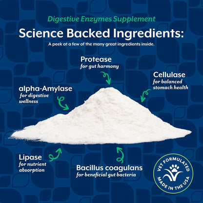NaturVet – Digestive Enzymes for Dogs - Plus Probiotics & Prebiotics | Helps Support Diet Change & A Healthy Digestive Tract | for Dogs & Cats | 4 oz Powder