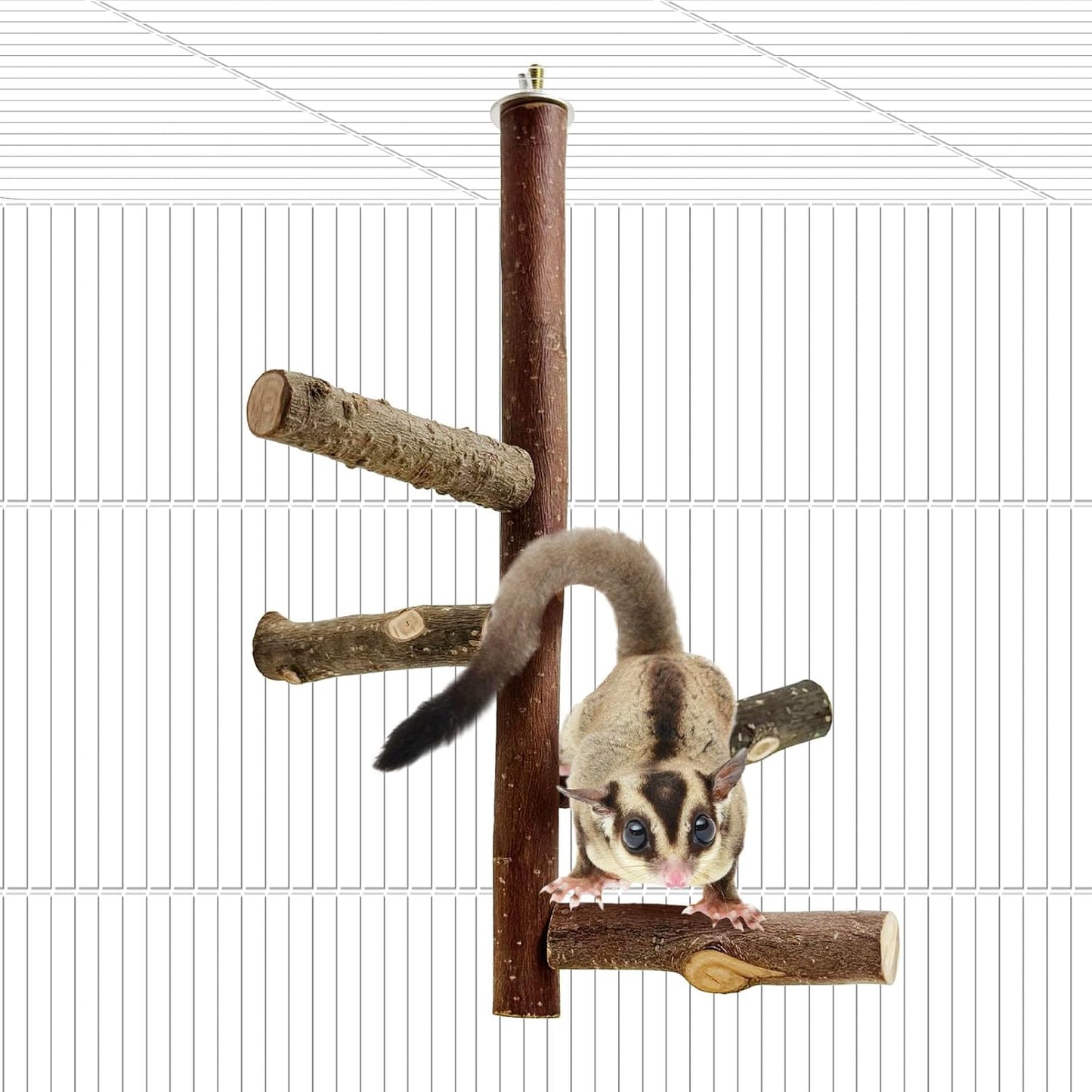 BNOSDM Sugar Glider Toy Natural Fruitwood Perch Stand Squirrel Hanging Wooden Climbing Pole Hamster Paw Grinding Perch Small Animal Cage Accessories for Chinchillas Rats Gerbil