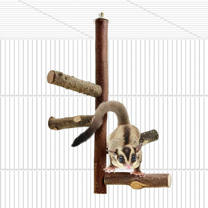 BNOSDM Sugar Glider Toy Natural Fruitwood Perch Stand Squirrel Hanging Wooden Climbing Pole Hamster Paw Grinding Perch Small Animal Cage Accessories for Chinchillas Rats Gerbil