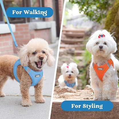 rabbitgoo Small Dog Harness, Step-in Soft Mesh Puppy Vest with Safety Buckle, Breathable Reflective Pet Harness for Small Medium Dogs, Blue XL