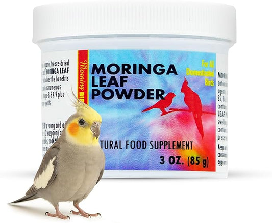Morning Bird Moringa Leaf Powder 3 oz – Natural Food Supplement for Birds, Rich in Vitamins & Minerals, Boosts Immune System & Energy, Supports Healthy Feathers, Digestion, and Overall Avian Wellness