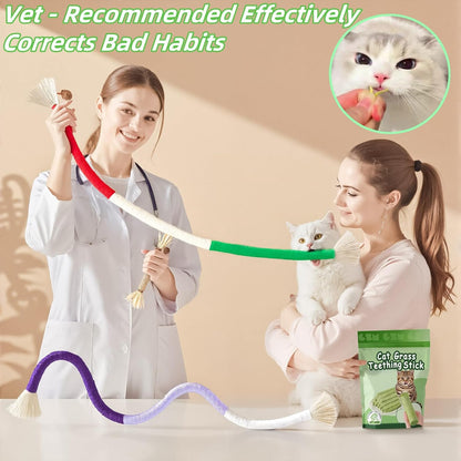 Cat Toys 12Pack Cats Grass Treat Catnip Toy with Silvervine for Indoor Kitten Toys Wood Kitty Chew Rope Grass Sticks for Teeth Cleaning Kitten Snack for Catnip Dental Care Self Play