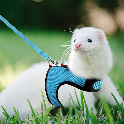 Rypet Small Animal Harness and Leash - Soft Mesh Small Pet Harness with Safe Bell, No Pull Comfort Padded Vest for Small Pet Blue S