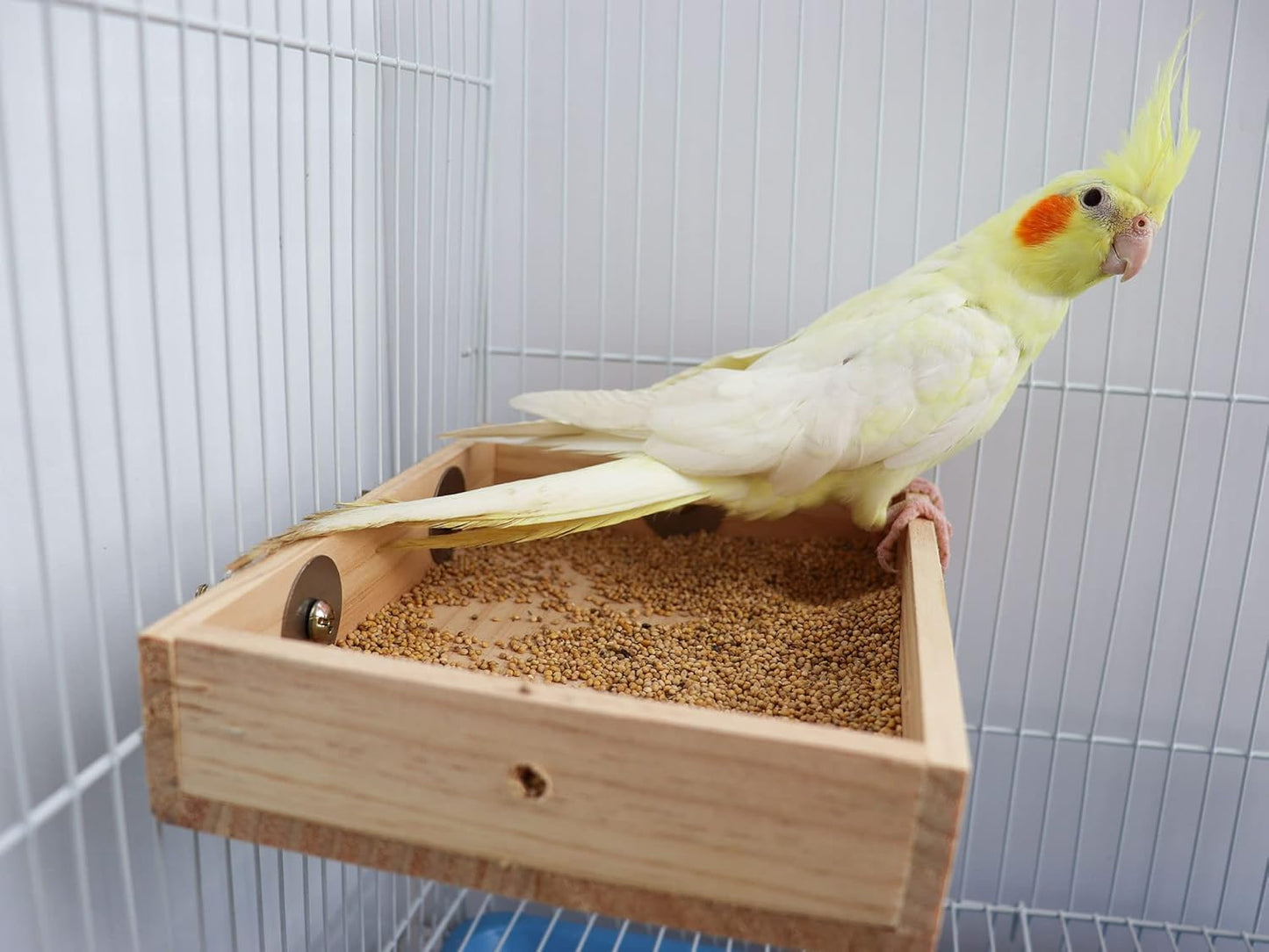 Bird Feeding Cups, Natural Wooden Parrot Perch Stand, Birds Food Dish, Parakeets Feeder Bowl, Cage Accessories for Small Animals Rat Hamster Guinea Pig Chinchillas Budgies Cockatiels Love Birds
