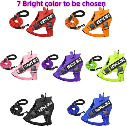 Custom Personalized No Pull Dog Harness with ID Name Phone Number and Rope Dog Leash Set, Heavy Duty Reflective Easy On Pet Vest Harness for X-Small Small Medium Large X-Large Dogs