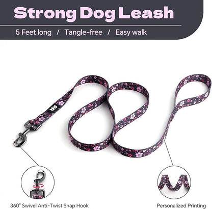 QQPETS Dog Harness Leash Set Adjustable Heavy Duty No Pull Halter Harnesses for Small Medium Large Breed Dogs Back Clip Anti-Twist Perfect for Walking