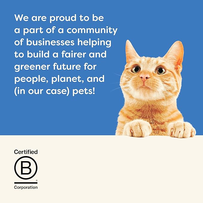 Applaws Natural Wet Cat Food in Broth, Limited and Natural Ingredients, High Protein with No Artificial Additives, Fish Selection in Broth Cans (20 x 5.5 oz Cans)