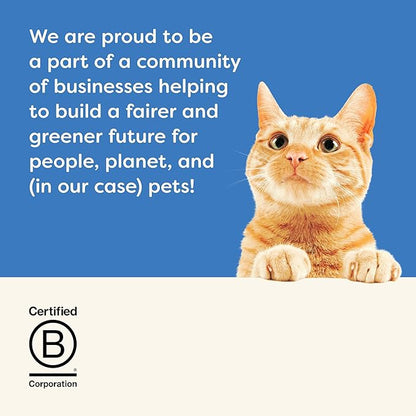 Applaws Natural Wet Canned Cat Food, Limited and Natural Ingreidents, High Protein with No Artificial Additives, Fish Selection in Broth (36 x 2.47oz Cans)