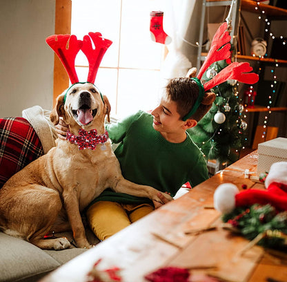 DOGWONG Christmas Dog Collar with Flower, Red Plaid Deer Dog Collar Soft Durable Adjustable Cotton Puppy Collar for Small Medium Large Dog