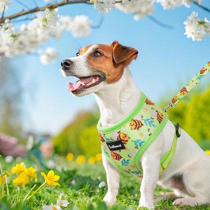 SCENEREAL Small Dog Harness and Leash Collar Set - No Pull Dog Harness for Small & Medium Sized Dogs - Soft Mesh Vest for Puppies, Chihuahua, Yorkie, Spring Summer Hiking Walking, Green Bee S