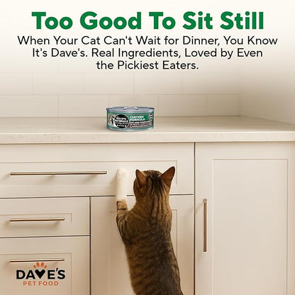 Dave's Pet Food Grain Free Wet Cat Food Pate (Chicken Formula), Made in USA Naturally Healthy Canned, Added Vitamins & Minerals, 5.5 oz Cans (24 Pack)