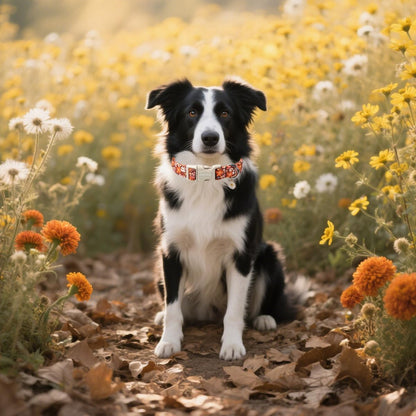 Lionet Paws Floral Dog Collar- Cute Fall Groundsel Oxalis Golden-Rod Dog Collars with Plastic Buckle,Light Adjustable Dog Collars for Small Dogs