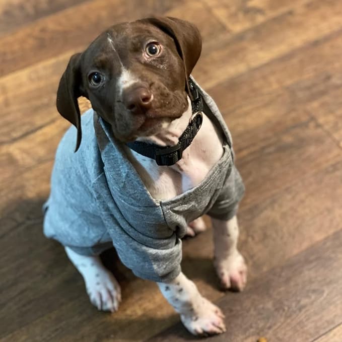 Jecikelon Winter Dog Hoodie Sweatshirts with Pockets Warm Dog Clothes for Small Dogs Chihuahua Coat Clothing Puppy Cat Custume (Grey, X-Small)