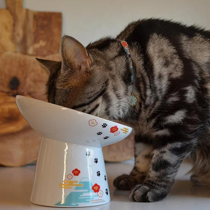 Necoichi Raised Cat Food Bowl – Ceramic Elevated 15° Tilted Cat Bowl for Whisker & Neck Fatigue, Dishwasher Microwave Safe – Non-Slip & Anti Vomiting Ergonomic Design (Fuji, Extra Wide Tilted)
