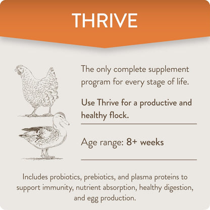 Thrive, Daily Probiotic & Prebiotic Water Supplement for Chickens 8+ Weeks Old, 8 oz (Pack of 2)