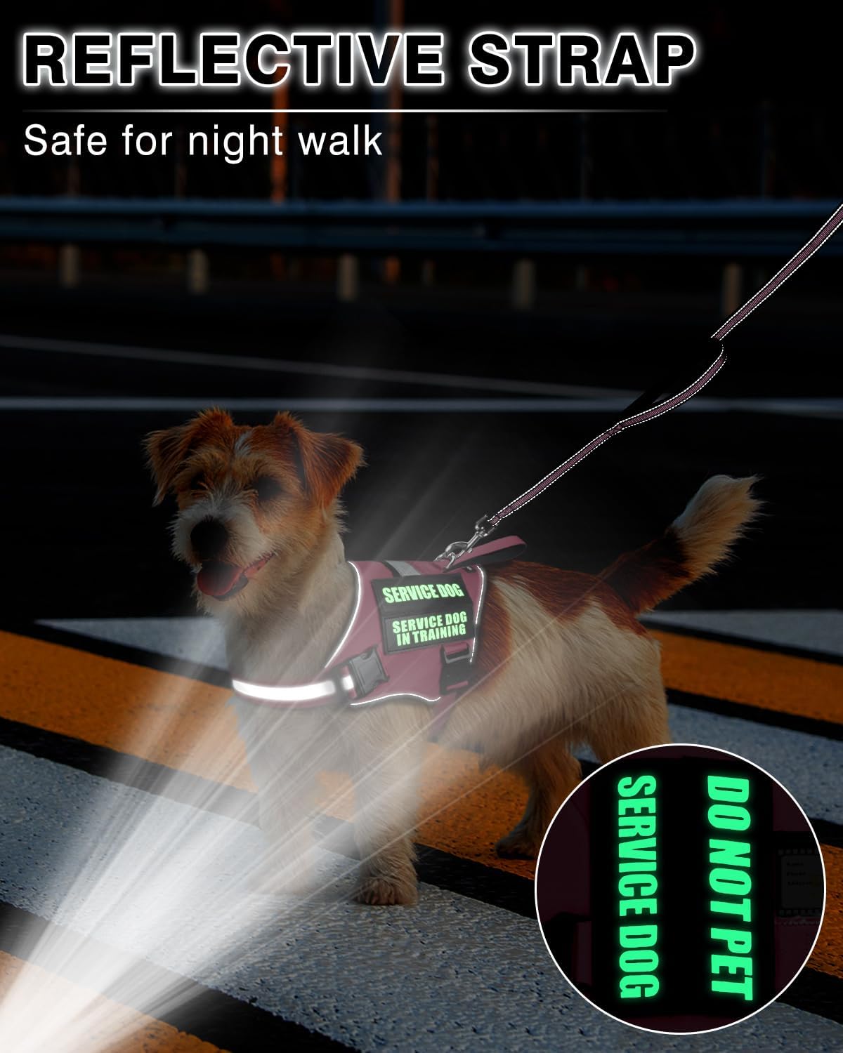 Service Dog Vest Harness and Leash Set+10 Patches for Puppy Small Dogs,Do Not Pet Emotional Support Dog Vest with 2 Soft Padded Handle for Everyday/Training (Pink XS)