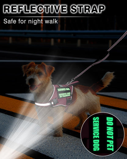Service Dog Vest Harness and Leash Set+10 Patches for Puppy Small Dogs,Do Not Pet Emotional Support Dog Vest with 2 Soft Padded Handle for Everyday/Training (Pink XS)